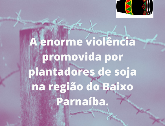 A enorme violência promovida de diversas formas por plantadores de soja (agronegócio), na região do Baixo Parnaíba.